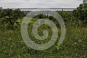 Vew of Bridge from Wildflower Meadow