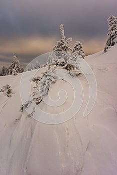 Vew of the covered with frost trees in the snowdrifts. Magical winter forest. Natural landscape with beautiful sky.