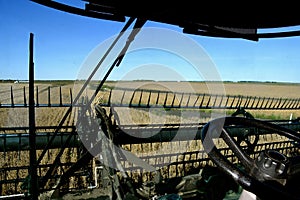 Vew of soybean harvest from the inside of the cab of the combine