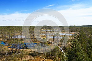 Vew of Viru Raba bog in Estonia with several small blue lakes and small coniferous forest with a wooden walkway passing through