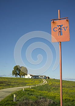 Vexillum at Caceres el Viejo Roman Camp  Extremadura  Spain