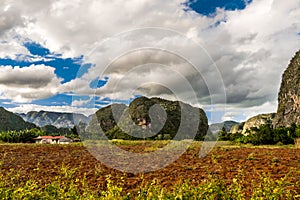 ViÃ¯Â¿Â½ales valley view in Cuba. Unreal nature with lakes, mountain, trees, wildlife. Gorgeus sky. photo