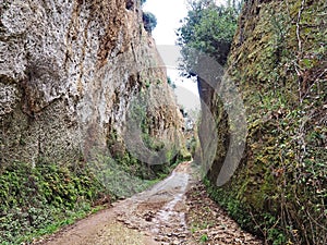 Via Cava, an ancient Etruscan road carved through tufo cliffs in Tuscany