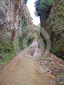 Via Cava, an ancient Etruscan road carved through tufo cliffs in Tuscany