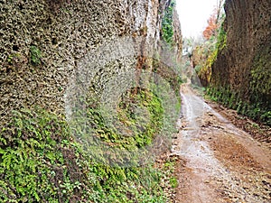 Via Cava, an ancient Etruscan road carved through tufo cliffs in Tuscany