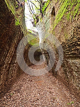 Via Cava, an ancient Etruscan road carved through tufo cliffs in Tuscany