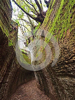 Via Cava, an ancient Etruscan road carved through tufo cliffs in Tuscany