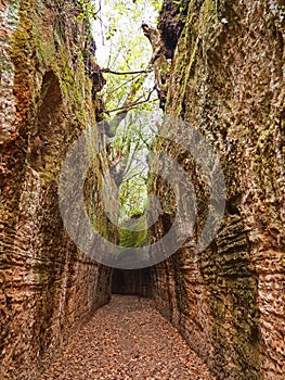 Via Cava, an ancient Etruscan road carved through tufo cliffs in Tuscany