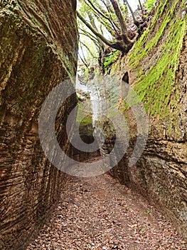 Via Cava, an ancient Etruscan road carved through tufo cliffs in Tuscany