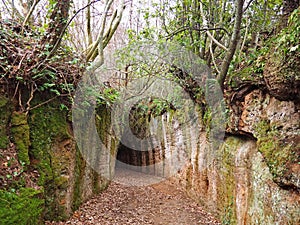 Via Cava, an ancient Etruscan road carved through tufo cliffs in Tuscany