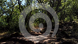 Via crucis trail on ancient forest of Bussaco