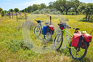 Via de la Plata way to Santiago by bike Spain photo