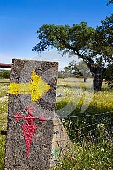 Via de la Plata way to Santiago sign Spain photo