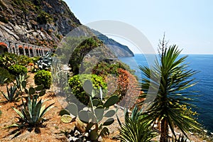 Via del Amore on the Ligurian coast photo