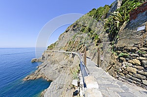 Via dell'Amore in Riomaggiore, Italy