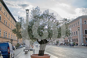 Via della Conciliazione in Rome photo