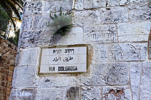 Via Dolorosa street sign, Jerusalem