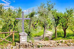 Via Francigena photo