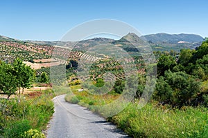 Via Verde de la Sierra greenway with the Iron Castle of Pruna - Olvera, Andalusia, Spain photo
