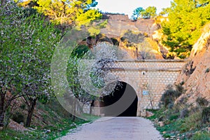 Via verde MaigmÃÂ³. Alicante photo