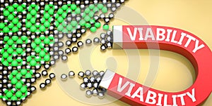 Viability attracts success - pictured as word Viability on a magnet to symbolize that Viability can cause or contribute to