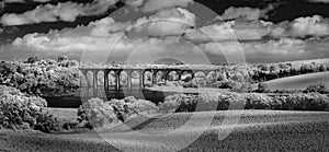 Viaduct over the River Tiddy, St Germans, Cornwall