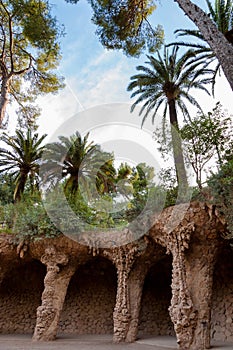 Viaducto and Palms in Park Guell at Barcelona photo