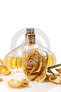 Vial of perfume and dry rose flower