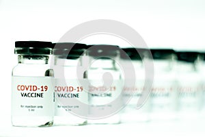 vials of covid-19 vaccine in a row