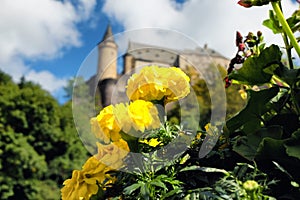 Vianden castle and flowers