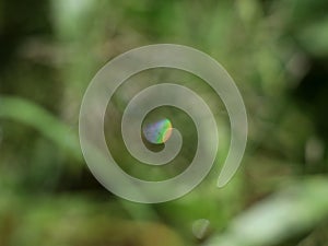 Vibgyor  formed in the water droplet on grass by camera blurring