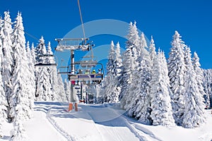 Vibrant active people winter image with skiers on ski lift, snow pine trees, blue sky