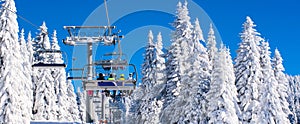 Vibrant active people winter image with skiers on ski lift, snow pine trees, blue sky