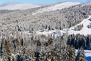 Vibrant aerial panorama of the slope at ski resort, people skiing, snow trees, blue sky