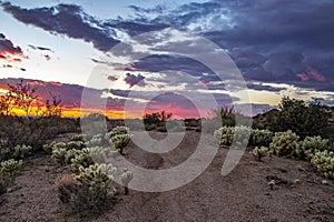 Vibrant Arizona Desert sunset trail to the horizon in Scottsdale