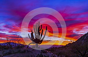 Vibrant Arizona Sunrise Landscape With Cactus Silhouette