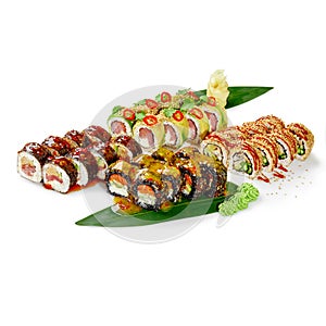 Vibrant assortment of sushi rolls on bamboo leaves on white