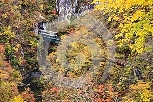 Vibrant autumn colors at Naruko Gorge valley with train crossing the iron bridge cover with autumn leaves in valley, Japan