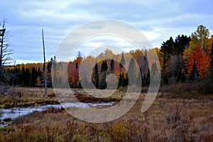 Vibrant autumn colors in Upper Michigan with prairie and small creek