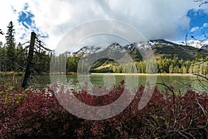 vibrant autumn foliage and snow capped mountains surround Jenny lake during fall season.