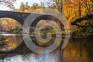 Vibrant Autumn Forest at Three Arched Bridge Western NC