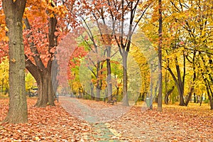 Vibrant autumn landscape, Romania, Herastrau park.
