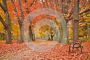 Vibrant autumn landscape, Romania, Herastrau park.