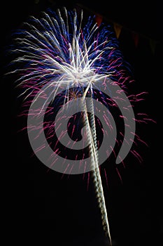 Vibrant beautiful fireworks against the night sky with trail