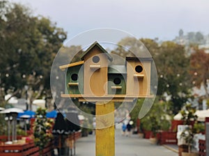 Vibrant birdhouses on a pole in front of a city park