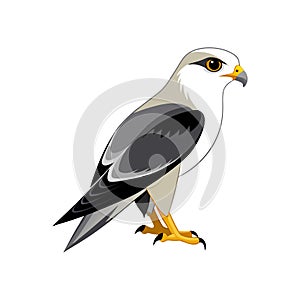 Vibrant Black-Shouldered Kite Artwork