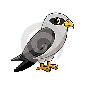 Vibrant Black-Shouldered Kite Artwork