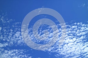 Vibrant Blue Sky with Pure White Scattered Clouds on a Sunny Day in Bangkok, Thailand