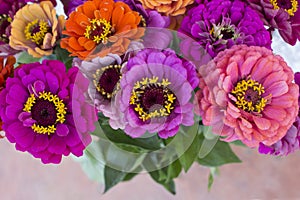 Vibrant bouquet of zinnia summer flowers