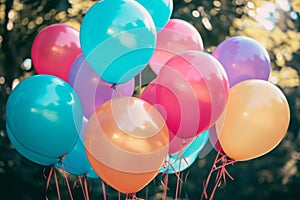 A vibrant bunch of balloons rises in the sky, creating a colorful spectacle, Helium-filled balloons floating at a garden birthday